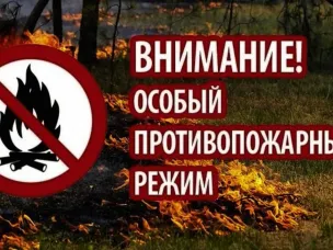 На территории области установлен особый противопожарный режим